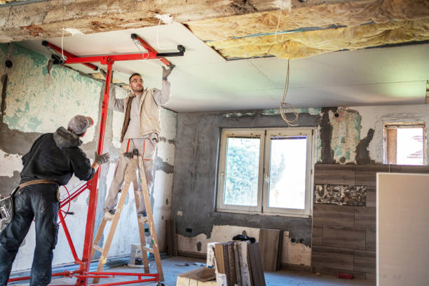 Best Insulation Inspection Services  in Bellevue, WI