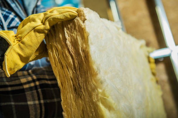 Best Professional Insulation Contractor  in Bellevue, WI