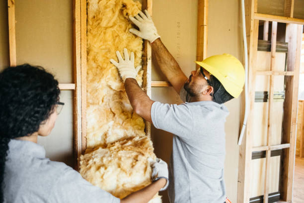 Best Residential Insulation Services  in Bellevue, WI