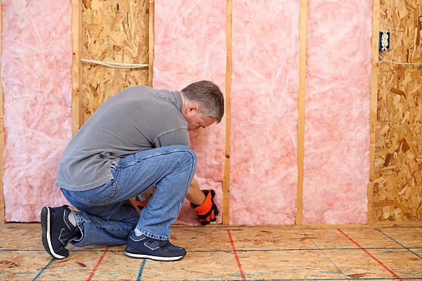 Best Energy-efficient Insulation  in Bellevue, WI