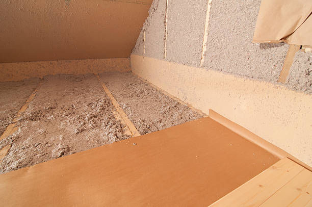Best Insulation Removal  in Bellevue, WI