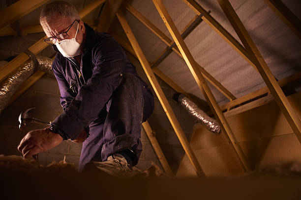 Best Professional Insulation Contractor  in Bellevue, WI